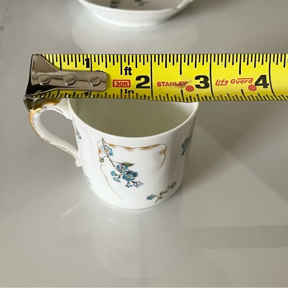 Espresso Demitasse Cup & Saucer - Blue Flowers with Gold - Haviland Limoges